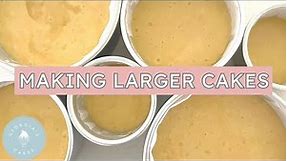 How To Multiply Your Cake Recipe for Larger Tins! | Georgia’s Cakes