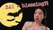 🦇 WHY BATS MEAN BLESSINGS | Chinese Culture Explained