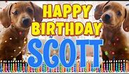 Happy Birthday Scott! ( Funny Talking Dogs ) What Is Free On My Birthday