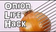 How to cut an Onion Life Hacks