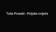 Toše Proeski - Poljsko cvijeće (tekst)