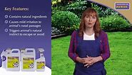 Bonide Repels-All Animal Repellent, 32 oz Ready-To-Use, Long Lasting Outdoor Garden Deer Repellent 238