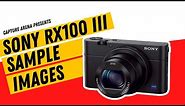 Sony RX100 III (4K) Sample Images w/ Camera Settings (2023)