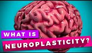 Neuroplasticity and learning explained