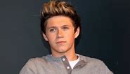 Niall Horan Clears Up Car Accident Rumors