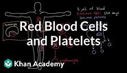 The life and times of RBCs and platelets