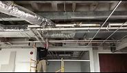 Installing T-Bar Drop Ceiling (Accelerated Time)