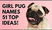 🐾 Girl Pug Names - 51 BEST ✨ CUTE ✨ TOP Ideas | Names