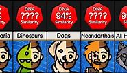 Comparison: How Similar Are We To Animals (Genetic Similarity)