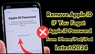 How To Remove Apple iD From Every iPhone/iPad/iPod Without Password 2024