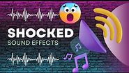 Shocked Sound Effect