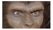 In Planet of the Apes (1968) astronaut... - Monster Fan Club