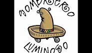 One Mexican Love - Sombrero Luminoso