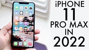 iPhone 11 Pro Max In 2022! (Still Worth It?) (Review)