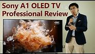 Sony A1/ A1E OLED TV Review