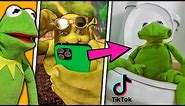 Tik Tok Memes Approved by Kermit the Frog