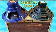 Jensen P12R & Celestion AlNiCo Blue: Speakers For Low-Wattage Tweeds