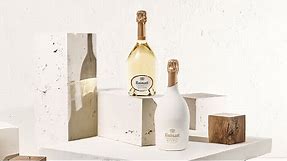 Champagne Ruinart Blanc de Blancs | Maison Ruinart
