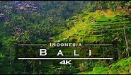 Bali, Indonesia 🇮🇩 - by drone [4K]