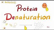 Denaturation of Proteins | Biochemistry 🧪