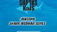 The Amazing Adaptations of Hammerhead Sharks with Dr. Mikki McComb-Kobza