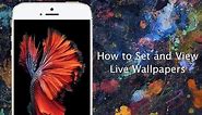 How to set Live Wallpapers on iPhone 6s and iPhone 6s Plus - iPhone Hacks