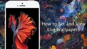 How to set Live Wallpapers on iPhone 6s and iPhone 6s Plus - iPhone Hacks