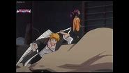 Yoruichi Transform To Her Human Form For The First Time -bleach-