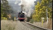Australian steam locomotive 1210 - Bungendore tour - September 2001.