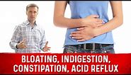 Bloating * Indigestion * Constipation * Acid Reflux – Dr.Berg