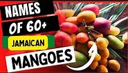 60+ NAMES OF JAMAICAN MANGOES, And Descriptions
