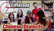 Mandarin Accents - Seven (Completely) Different Chinese Dialects - Real Chinese Conversation