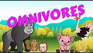 Omnivores | Types of Animal | Science for Kids