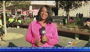 Making Strides: KCAL9’s Amy Johnson Shares Heartwarming Story Of Survival On-Air