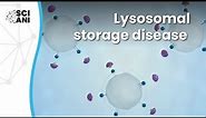 What are Lysosomal Storage Diseases?