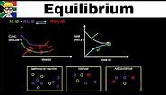 Equilibrium Graphs grade 12: Introduction