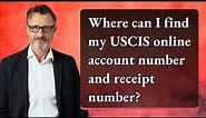 Where can I find my USCIS online account number and receipt number?