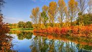 Rheinaue Park in Bonn, Germany