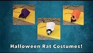 Making Halloween Costumes For My Rats!
