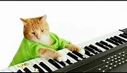 Keyboard Cat's Wonderful Pistachios Commercial!