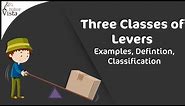 Three Classes of Levers - Examples, Defintion, Classification