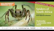 Spiders of South Africa. A Kirstenbosch Wednesday Talk by Ansie Dippenaar-Schoeman