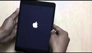 [iPad Issue] How To Solve "No Display" or "Black Screen" Problem On iPad (iPad Mini)