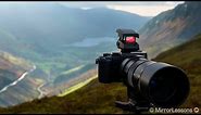 Olympus EE-1 Dot Sight Review with the M.Zuiko 300mm f/4