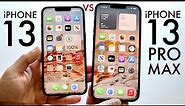 iPhone 13 Vs iPhone 13 Pro Max In 2023! (Comparison) (Review)