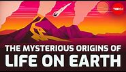 The mysterious origins of life on Earth - Luka Seamus Wright