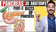 ducts of pancreas anatomy 3d | pancreatic duct anatomy | nerve and blood supply of pancreas anatomy