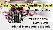 Class-D Digital Stereo Audio Power Amplifier Module | 30W TPA3110 Chip | POWER-GEN