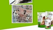 NEW Nature’s Promise Dog & Cat Food