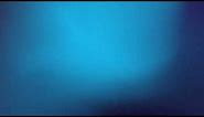 Dark Blue Gradient Grainy Background